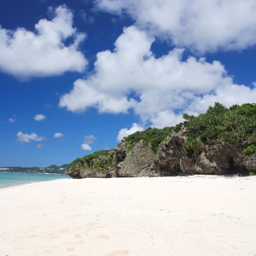 Week 4 of April 2017＿Recommend　Set (Various artists)