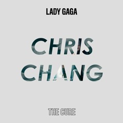 Lady Gaga - The Cure (Chris Chang Remix)