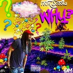 Why - FNM Scoota