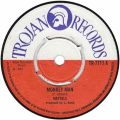 Monkey Man - (Toots and the Maytals, The Specials, Amy Winehouse) - Cover