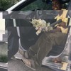 Kodak Black Bun B Candy Paint Chopped Screwed Mp3
