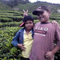 Liedje over Peter Jan