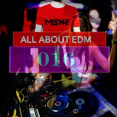 MSNR - All About EDM (Podcast Episode 016)