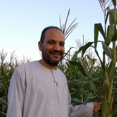 ما تيسر من سورة الروم بصوت الشيخ على عبد الرحمن