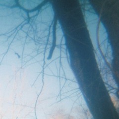 pale light