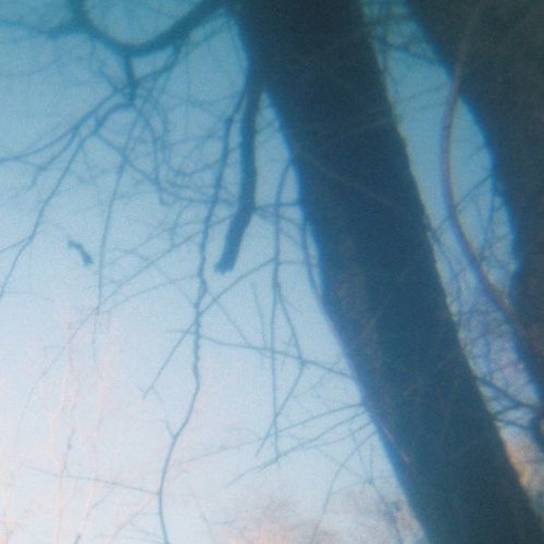 pale light