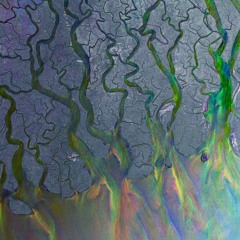 Alt -J - Breezeblocks (Endo Chill Psytrance Remix)