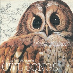 owl songs (sampler room recording)