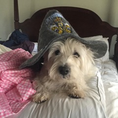 Spent A Day Out (Canvas the Town Vocals)