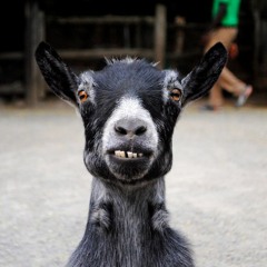 Dubble G - Just Another Reason Prod . Twiggz