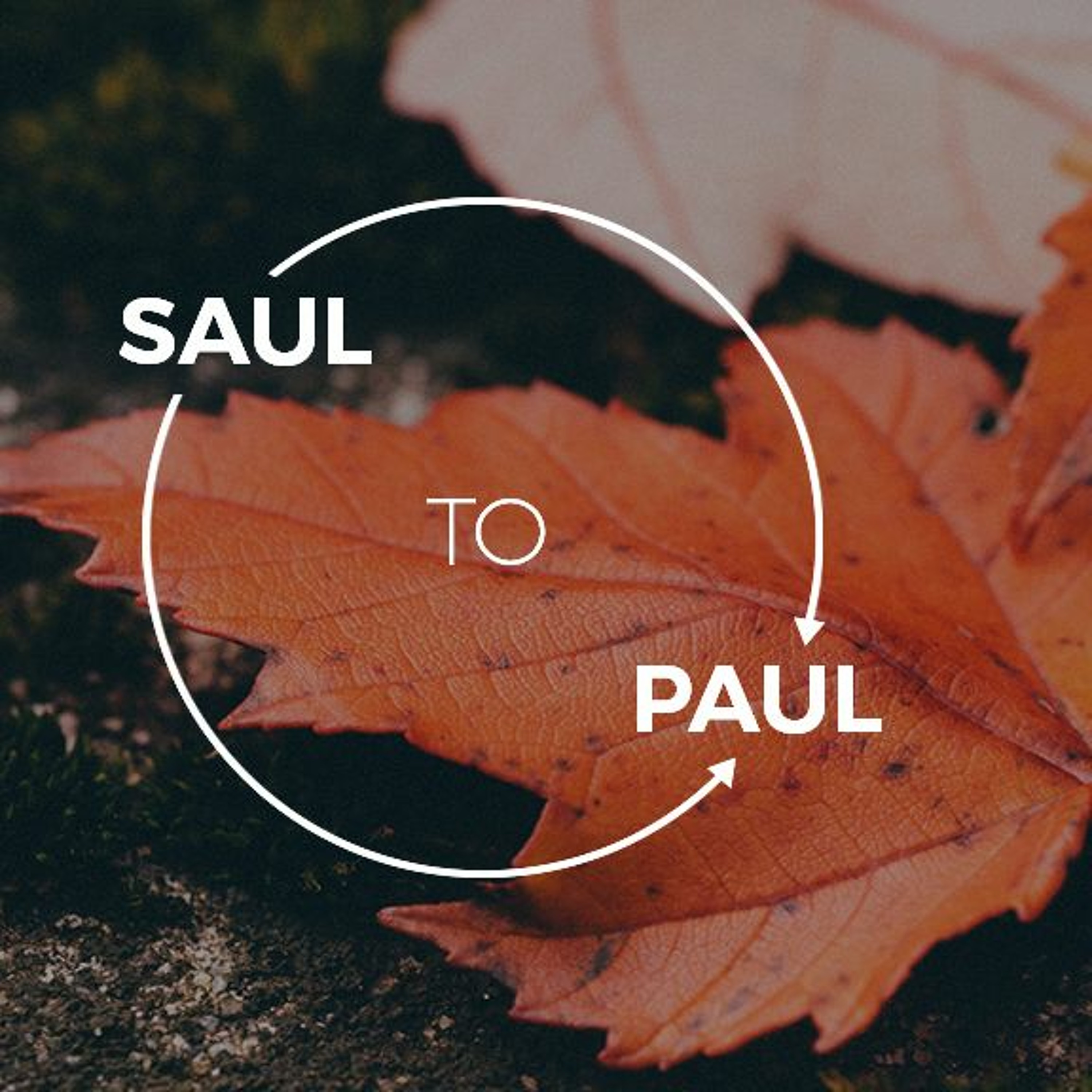 Saul to Paul Part 2 | Acts 8:9 -11:26 | Chris | Sunday 30th April 2017 episode artwork