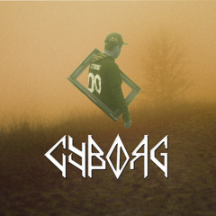 Cyborg - Nitty Gritty