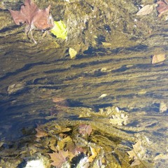 Ramblings on "Cabin Creek"