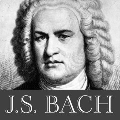 Bach: Cantata "Geist und Seele wird verwirret”, BWV 35 - 1. Sinfonia (2017.04.30)