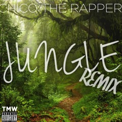 Jungle (Remix)
