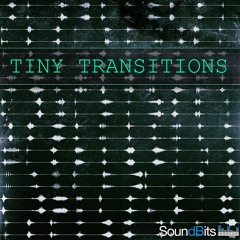 Tiny Transitions - Preview