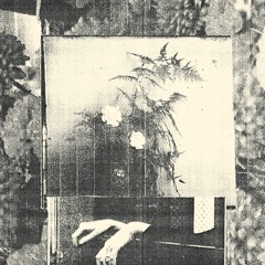 Toyotomi Hideyoshi - Lazy ft. Jim Kribb (Prod. Max Black & Ryan Borrett)