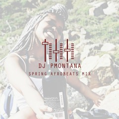 Spring 2017 Afrobeats Mix