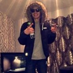 WILKINZ Vol 4