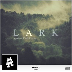 Direct - Lark (Ypsilon DnB Remix)