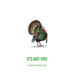 It's Not You [Produced  by  Wiser Observer, Douglas Eriksen & Taona Nyandoro]