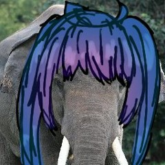 ช้าง (+ UST)
