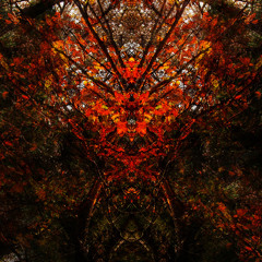 [Σ3-2017 3rd STRIKE] - eXgf