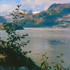 Glacier Bay ( new tape in description ! )
