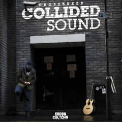 CrossBreed & Westy - Rasta Man (Collided Sound EP)
