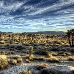 Grundeinstellung (prod. by Pitcher)