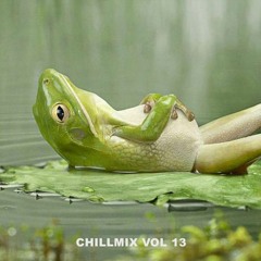 Gieler chillmix Vol.13