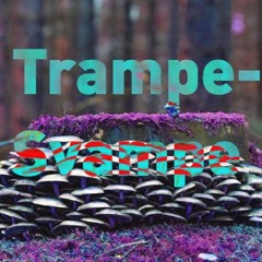 Trampesvampe