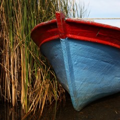 The Hush Of The Very Good