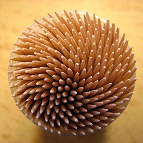 SCP - 611: Parasitic Toothpick
