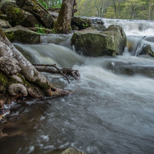 Progressive Funk Boi