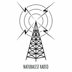 Naturalist Radio - Episode 0: The Prelude