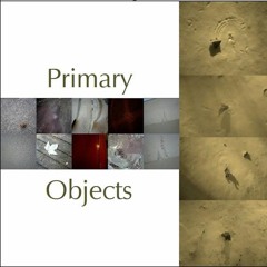Primary Objects