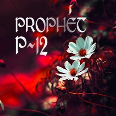 Dsi Prophet 12 Black Materia - Pads & Orchestral Ensemble patches