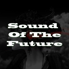 Hardking Bass - Sound Of The Future (Original Mix)