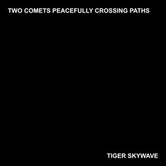 Two Comets Peacefully Crossing Paths