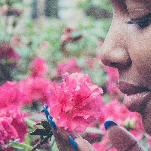 From Blame to Gratitude