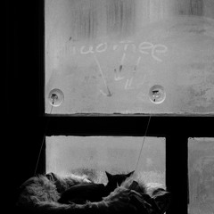 For now I am winter