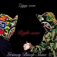 Ziggy Zeem Ft Grimey Bishop Shine Right Now