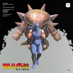 "Going Gets Tough (NGII)" by Mayuko Okamura (from Ninja Gaiden The Definitive Soundtrack)