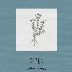 Cotton Bones (NEW SINGLE 2017)