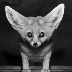 Embertone Stranger Themes 2017 - Obscured by Light - by ghobii