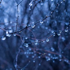 [Zeru] Fate cover (Prod. CbMin9 ) HAPPY BIRTHDAY KYO!