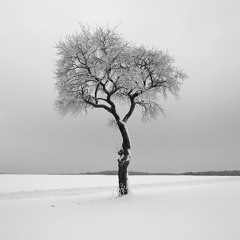 ترجمهٔ شعر: مانا آقایی، روجا چمنکار، هنگامه هویدا