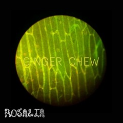 Ginger Chew
