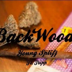 Backwood$ 🍂                                                                        (Spliff x TRIPP)